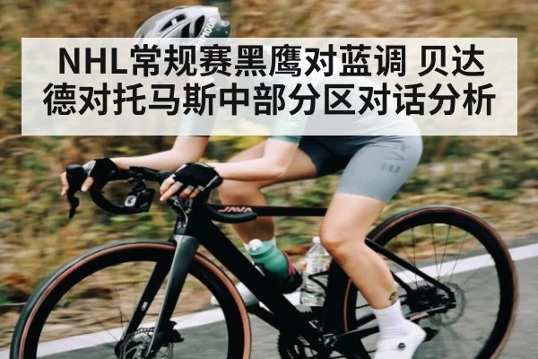 NHL常规赛黑鹰对蓝调 贝达德对托马斯中部分区对话分析